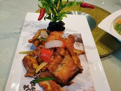 -陶缘一号·四季缘·老字号顺德菜·户外婚礼家宴(西滘店)