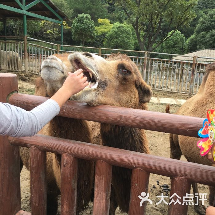 無錫動物園·太湖歡樂園