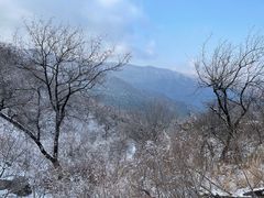 -香山公园