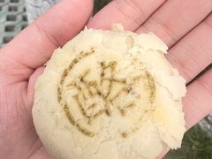 -好一朵茉莉花(老门东店)