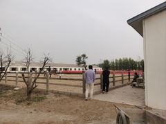 -北京群众马术培训基地