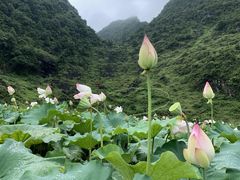 -靖西鹅泉风景区