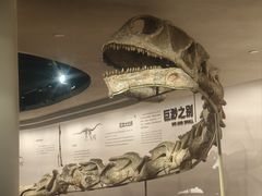 -自贡恐龙博物馆