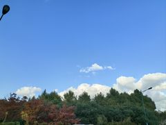 -璞臻汽锅餐厅(南京东路店)