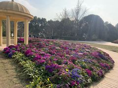 -老幺泉水鸡