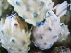 -港华水果街(港华广场店)