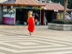 -西双版纳勐泐文化旅游区
