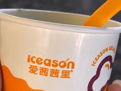 -iceason爱茜茜里·意大利健康冰淇淋(骑龙巷店)