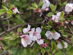 -黑龙江省森林植物园