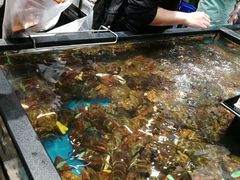 -盒马鲜生(皇庭广场店)