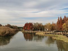 -沙家浜风景区