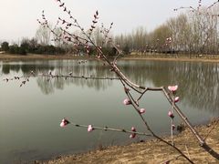 -东郊湿地公园
