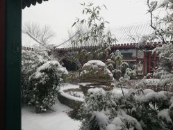 -北京市东城区妇幼保健院(北院区)