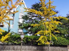 -地二手作鱼汤馄饨(上街里店)