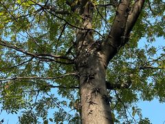 -白塘生态植物园