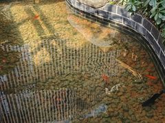 -六合居·明厨亮灶餐厅(成双大道店)