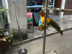 -观桥阁(锦溪店)