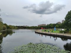 -院士公园