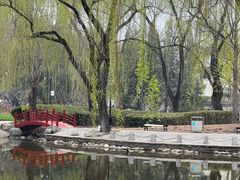 -玲珑塔公园