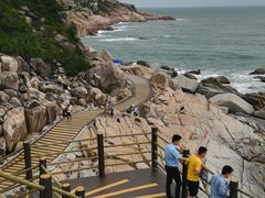 -广东惠东海龟国家级自然保护区