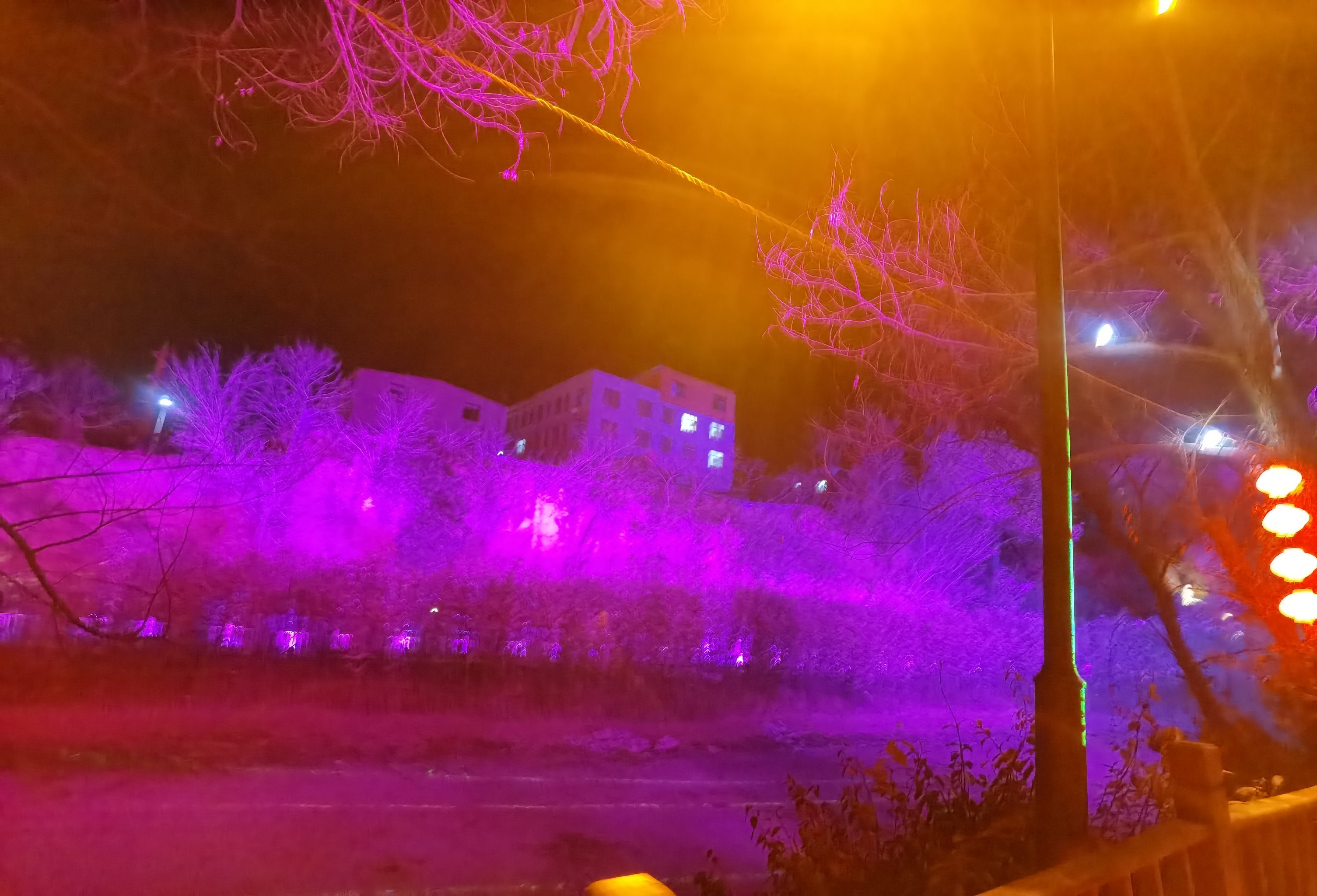 在樱桃沟景区的灯光秀项目游玩,没有提前在