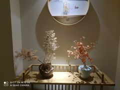 -璞禅足道(观音桥旗舰店)