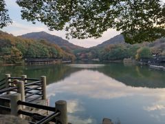 -白马涧龙池景区