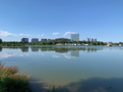 -大兴滨河森林公园