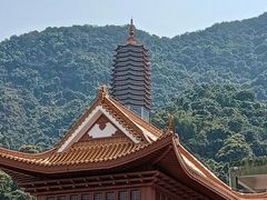 -深圳仙湖植物园
