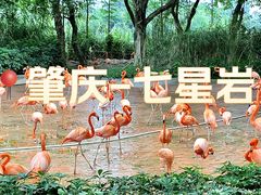 -星湖旅游景区七星岩