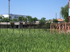 -河北村民俗体验园