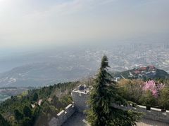 -华清宫景区