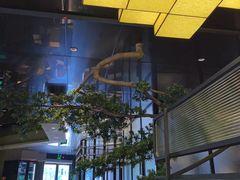 -樱嘢·炭火烧肉(惠南店)