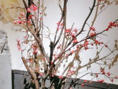 -江南韵·无锡太湖文化体验餐厅(凤凰天街店)