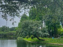 -晓港公园
