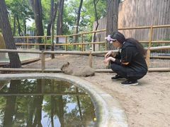 -南戴河国际娱乐中心