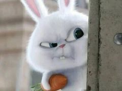 -爱维尔阳光蛋糕(独墅湖邻里中心店)