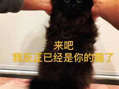 -博纳国际影城(合肥银泰中心店)