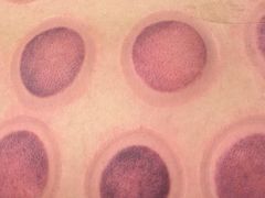 -益康盲人推拿按摩(长虹店)