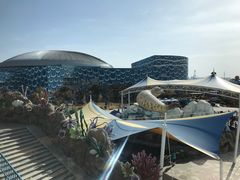 -华夏文旅海洋公园