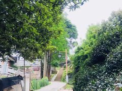 -西湖风景区十里琅珰-五云山