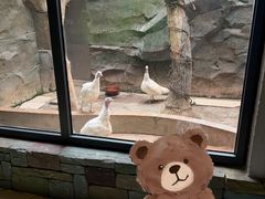 -洛阳龙门海洋馆