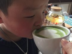 抹茶拿铁-吉丁鸟咖·异宠·寄养