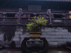 -慧因高丽寺