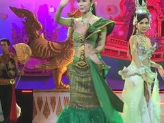 -金东尼人妖秀