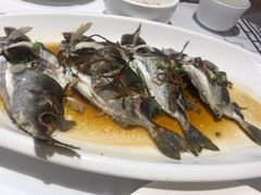 -强记海鲜·大排档(蛇口新街店)