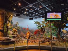 -陕西自然博物馆