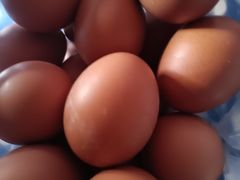 -国商百货(卫星广场店)