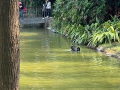 -珠海圆明新园