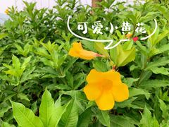 -贤江公园
